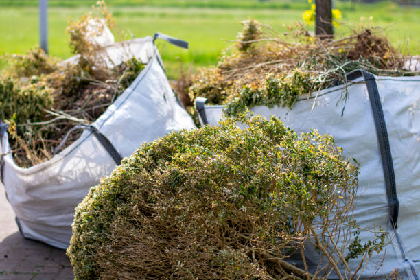 Best Attic Cleanout Services  in Mountain Park, GA